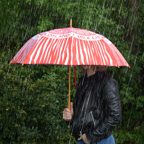 Tunnock's Tea Cake Luxury Umbrella